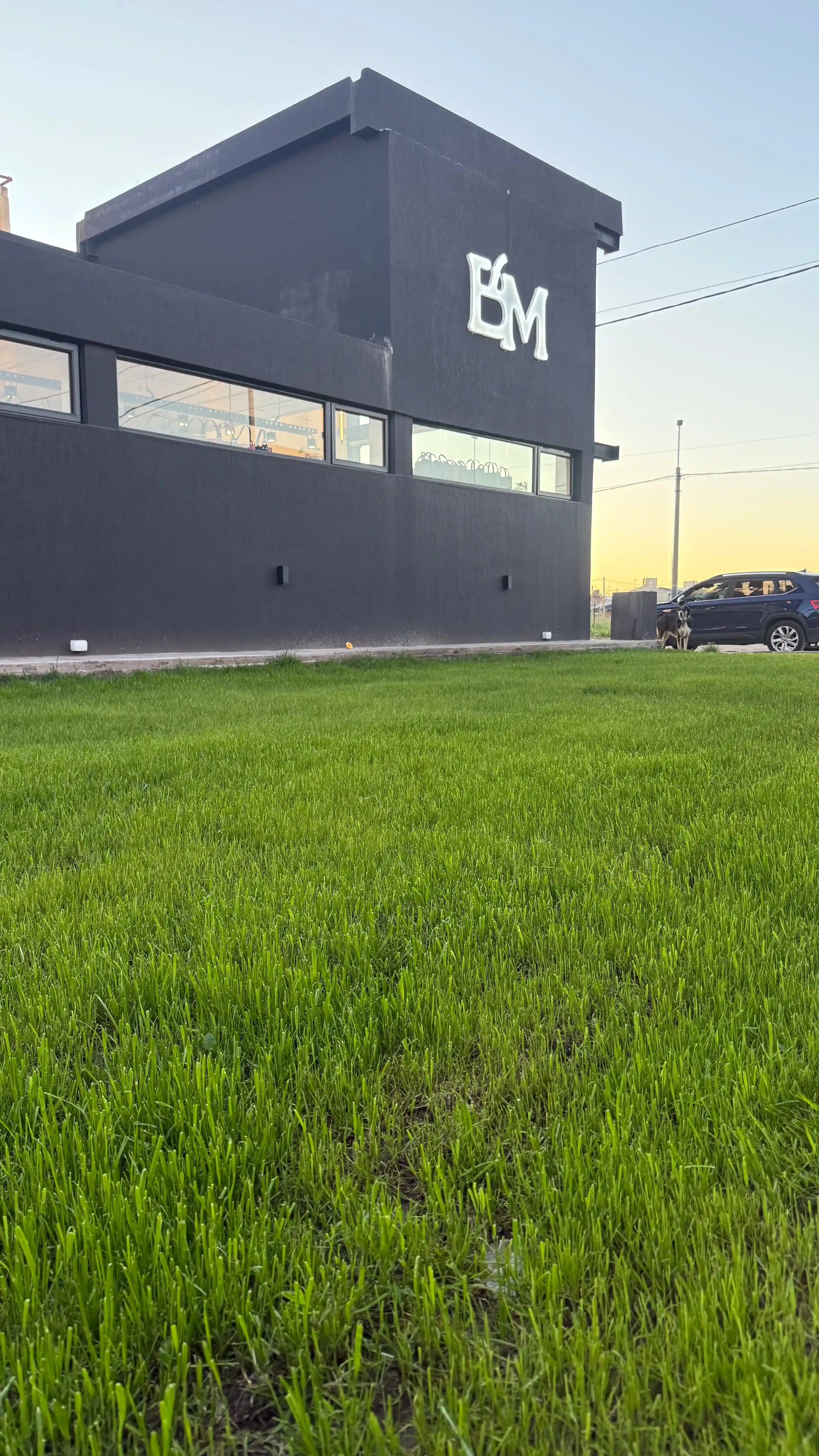 Después - Césped establecido